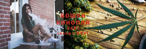 гашик Аркадак