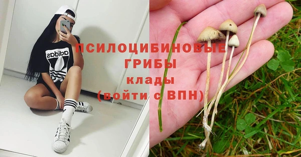гашик Аркадак