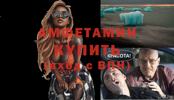 гашик Аркадак