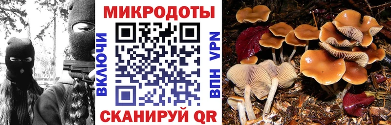 цена наркотик  Сольвычегодск  Галлюциногенные грибы GOLDEN TEACHER 